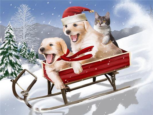 Twee Golden Retrievers en een Kat op Slee Schilderen op Nummers