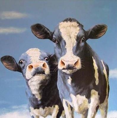 Twee Holsteinkoeien Schilderen op Nummers