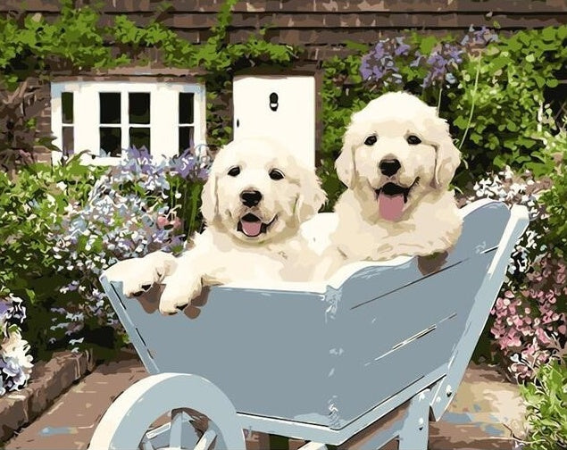 Twee Honden in een Karretje Schilderen op Nummers