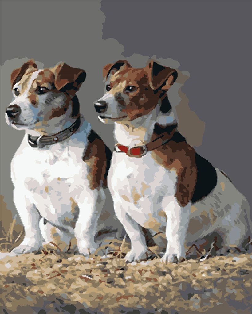 Twee Honden Schilderen op Nummers
