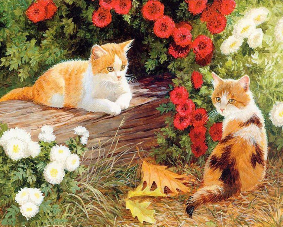 Twee Katten bij een Struik Schilderen op Nummers