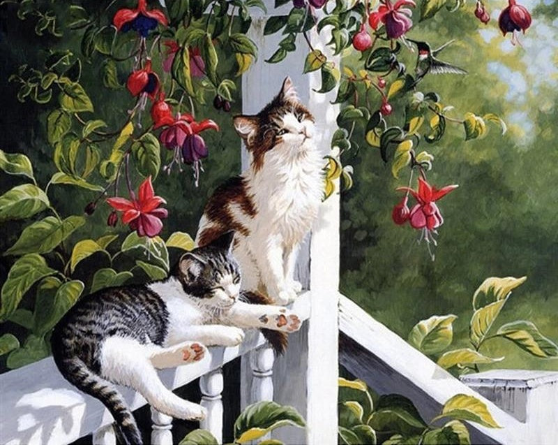 Twee Katten in de Zon Schilderen op Nummers
