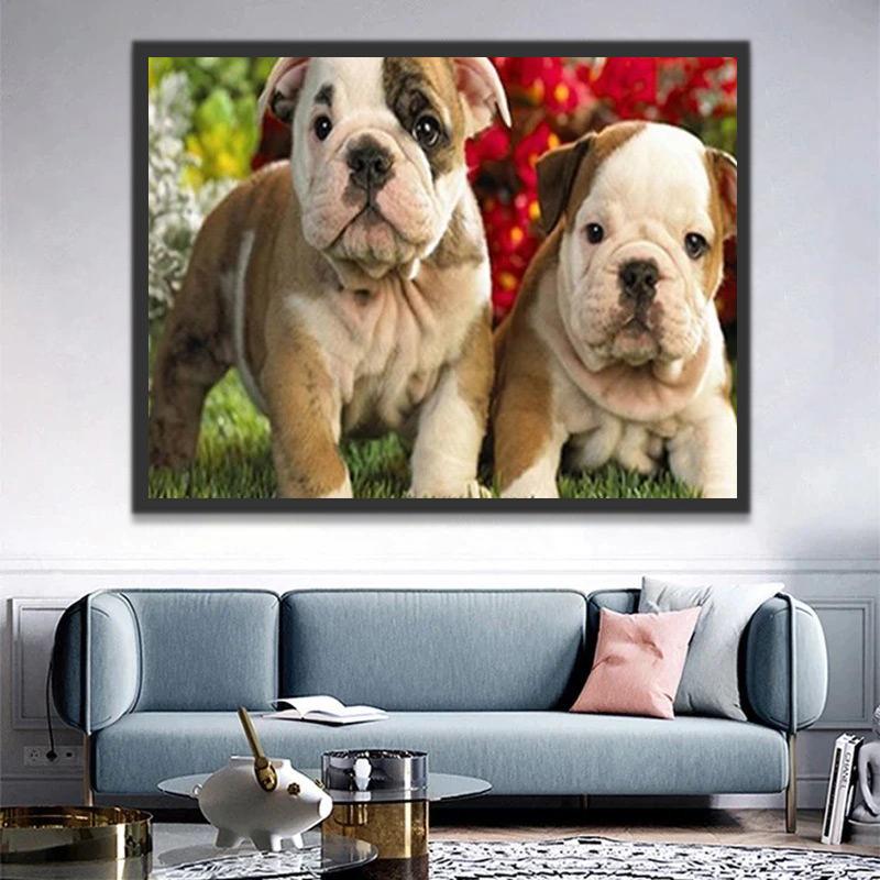 Twee Kleine Shar Peis Schilderen op Nummers
