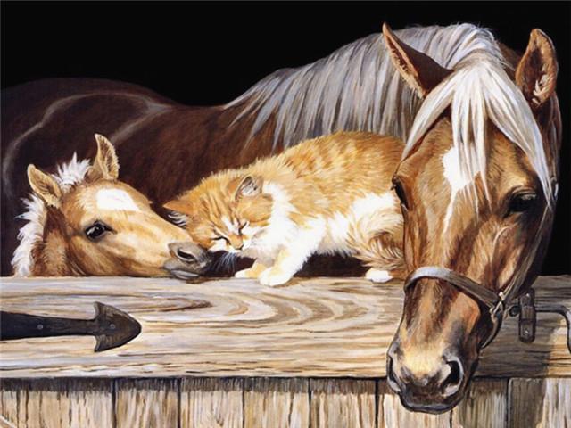 Twee Paarden en Kat Schilderen op Nummers