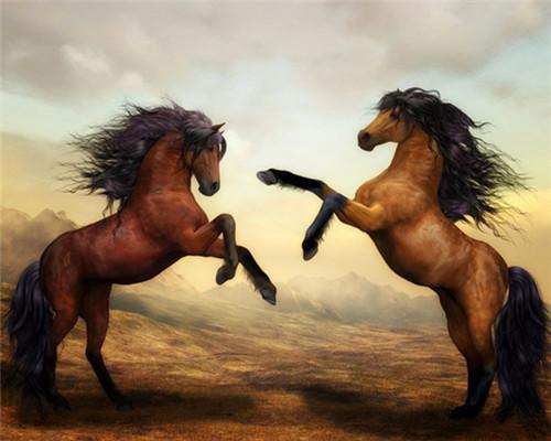 Twee Paarden Schilderen op Nummers