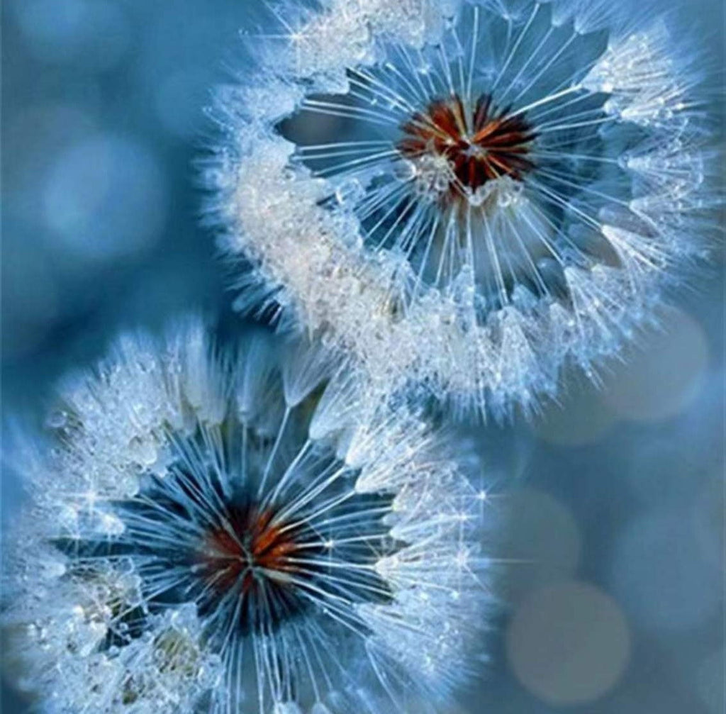 Twee Paardenbloemen op een Dromerige Blauwe Achtergrond Schilderen op Nummers