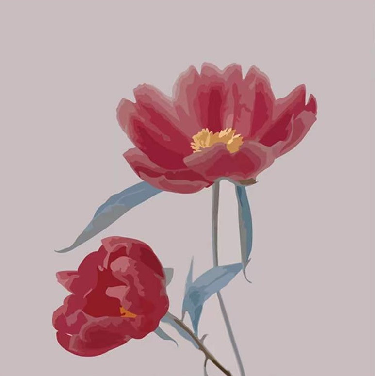Twee rode bloemen Schilderen op Nummers