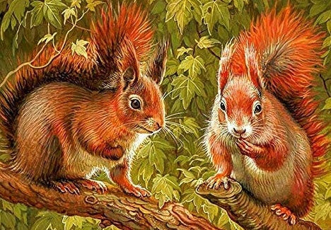 Twee schattige eekhoorns Schilderen op Nummers