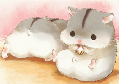 Twee schattige hamstertjes Schilderen op Nummers