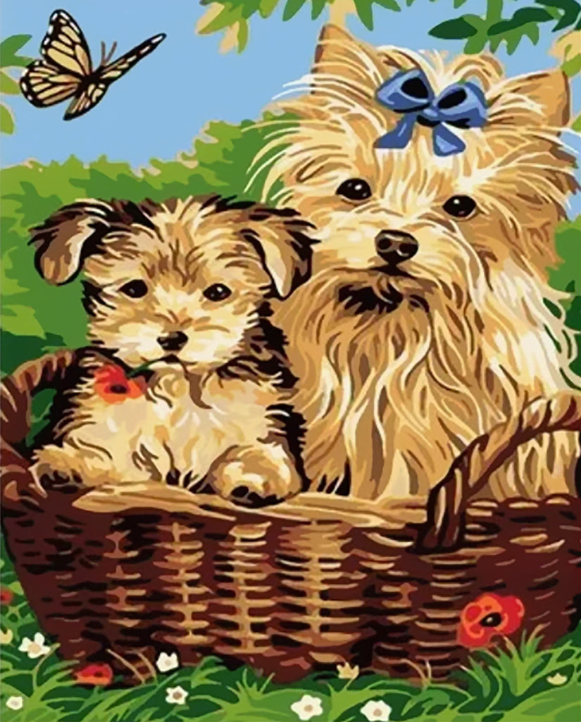 Twee Schattige Puppies en Vlinder Schilderen op Nummers