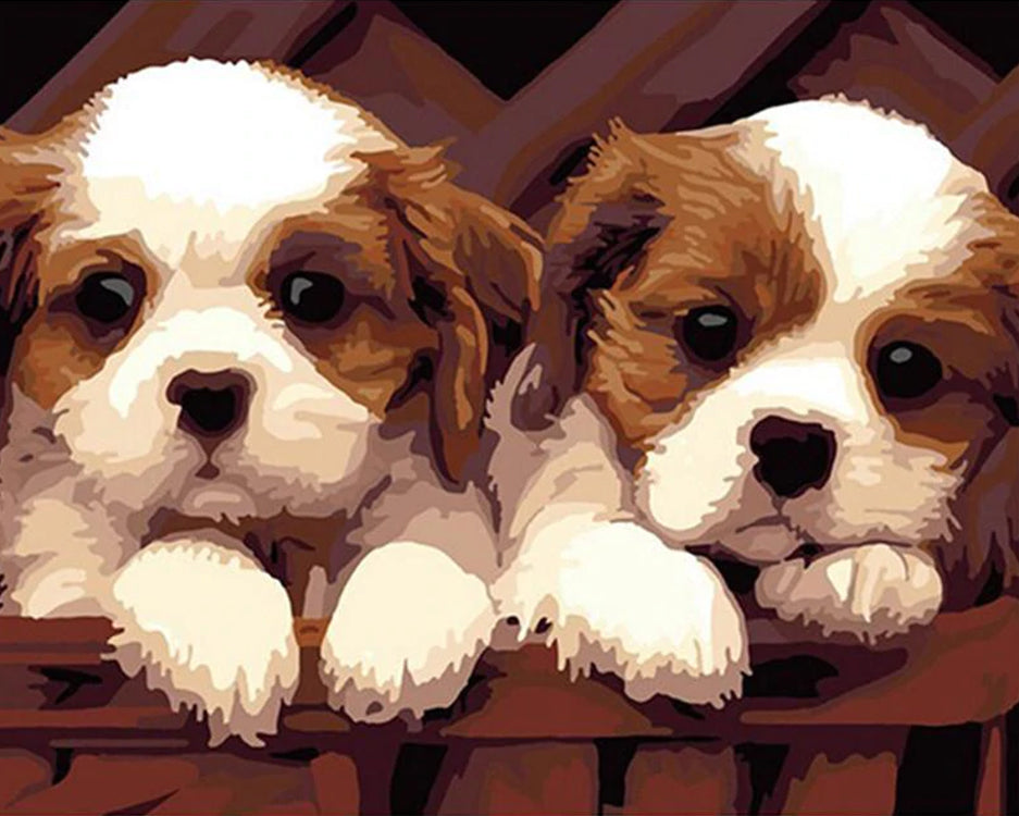 Twee Schattige Puppies Schilderen op Nummers