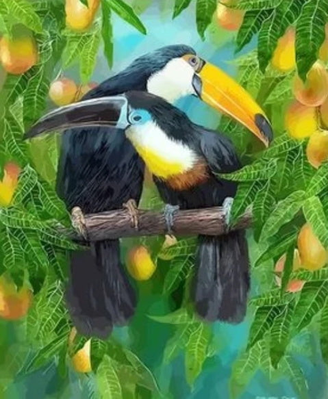 Twee Toekans in een Fruitboom Schilderen op Nummers