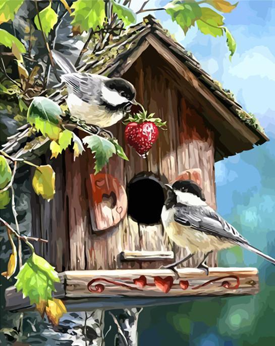 Twee Vogels en hun Houten Huisje in Boom Schilderen op Nummers