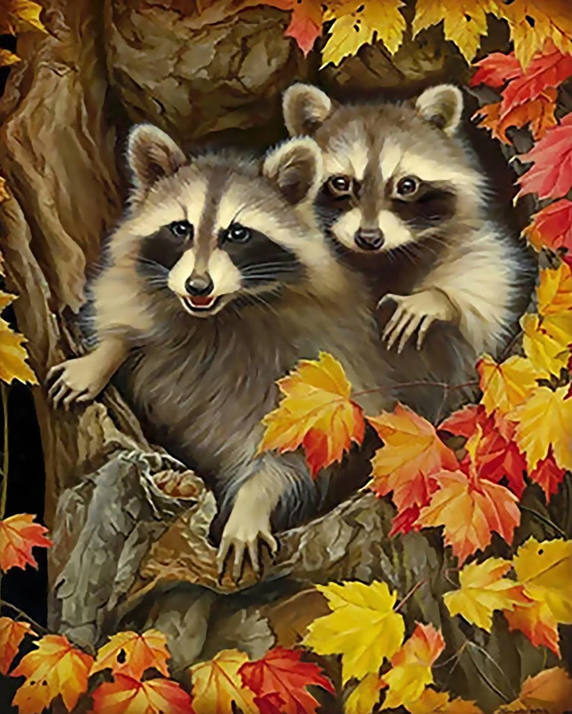 Twee Wasberen en Herfstbladeren Schilderen op Nummers