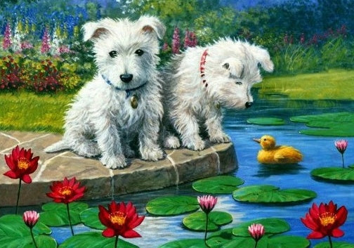Twee West Highland Terriers bij de Vijver Schilderen op Nummers