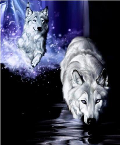 Twee Wolven in Water Schilderen op Nummers