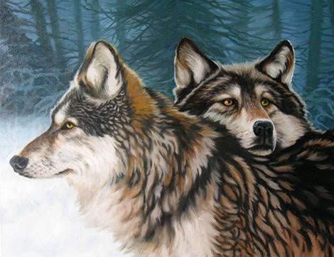 Twee Wolven Schilderen op Nummers
