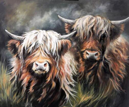 Twee Yaks Schilderen op Nummers