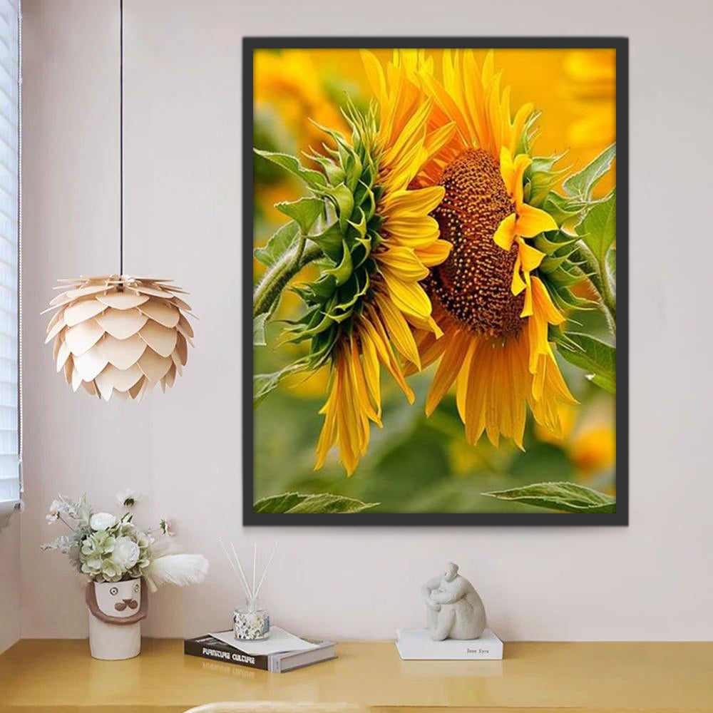 Twee Zonnebloemen naast elkaar Schilderen op Nummers