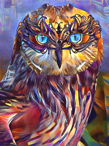 Uil met Blauwe Ogen Schilderen op Nummers