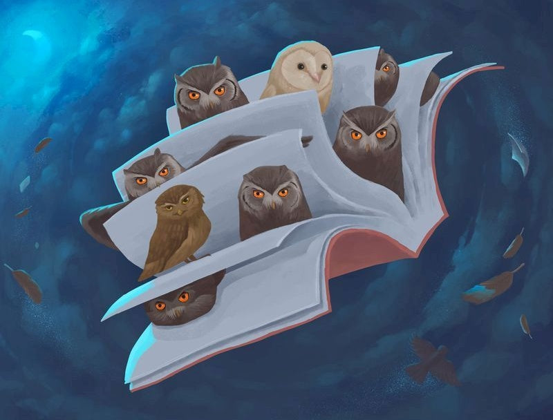 Uilen en Boek Schilderen op Nummers