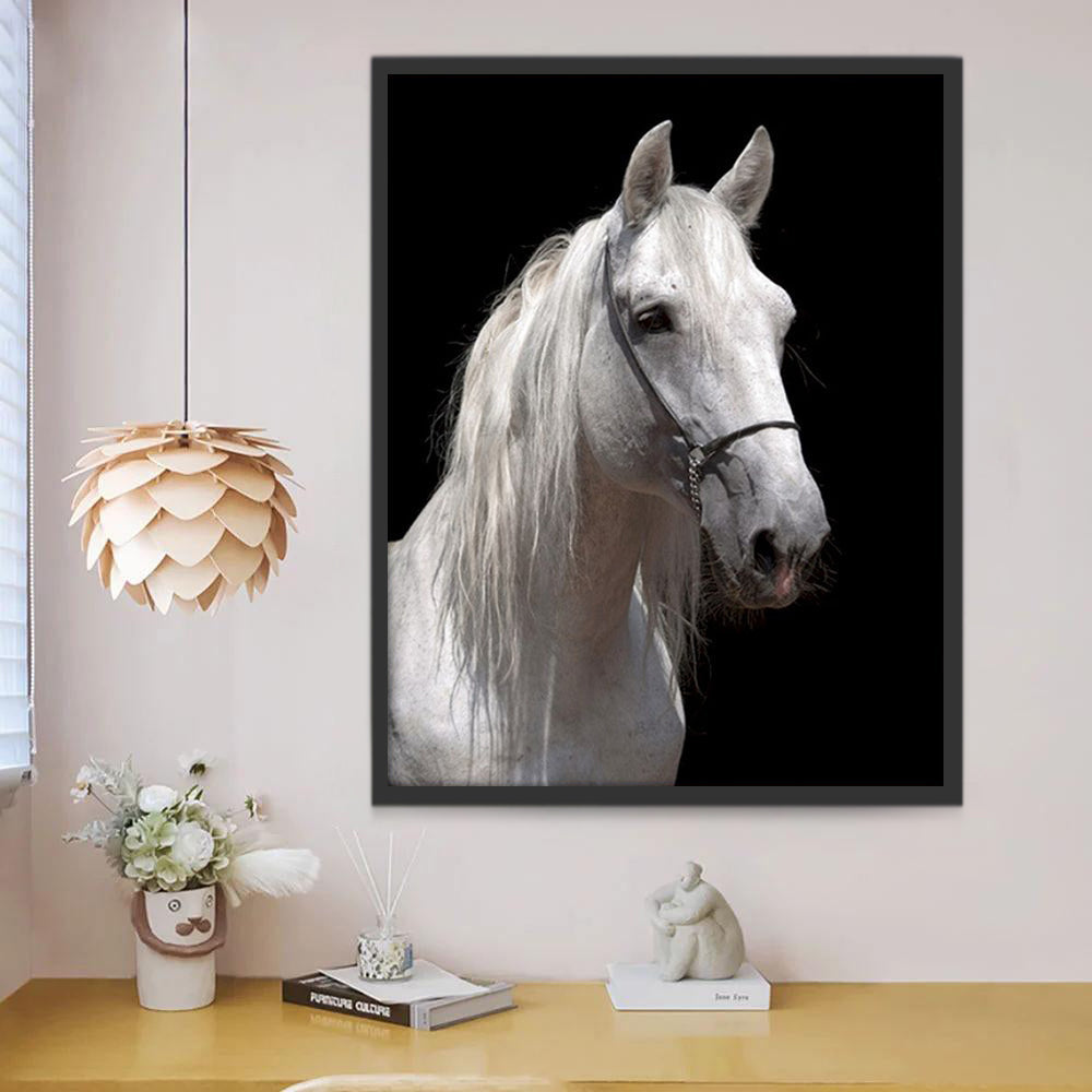 Verdrietig Wit Paard Schilderen op Nummers