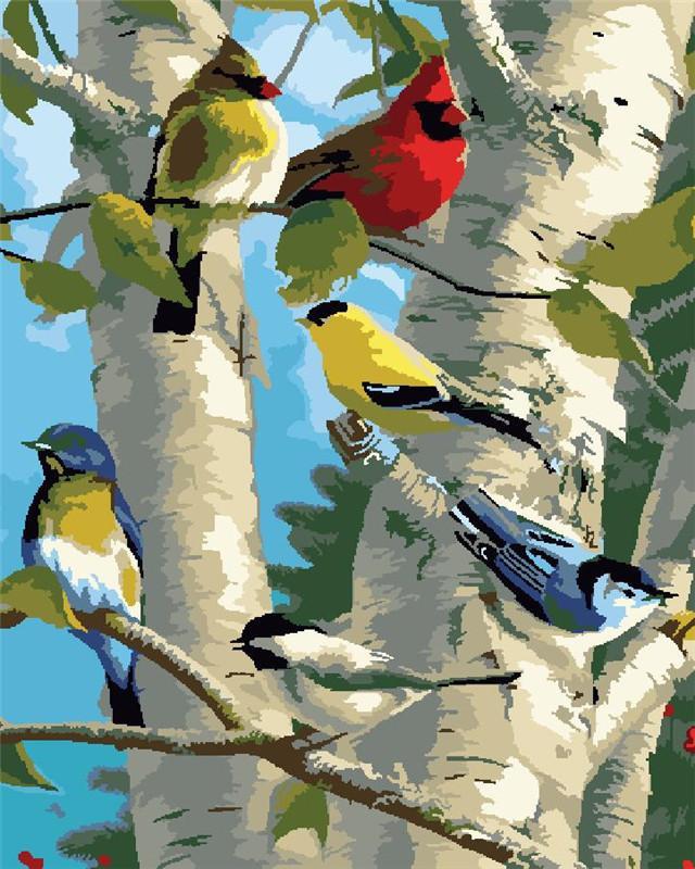 Verschillende Vogels in Boom Schilderen op Nummers