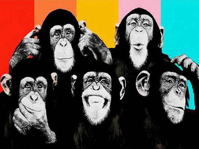 Vijf Gorillas Schilderen op Nummers