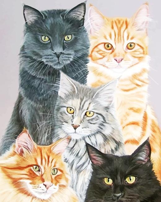 Vijf Verschillend Gekleurde Katten Schilderen op Nummers