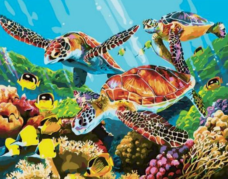 Vissen en Schildpadden Schilderen op Nummers