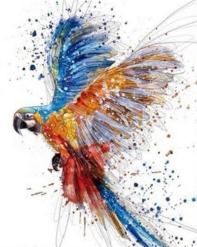 Vliegende Kleurrijke Vogel Schilderen op Nummers