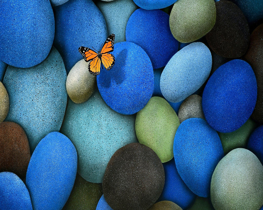 Vlinder op de Blauwe Steen Schilderen op Nummers