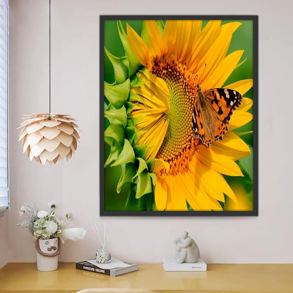 Vlinder op Zonnebloem Schilderen op Nummers