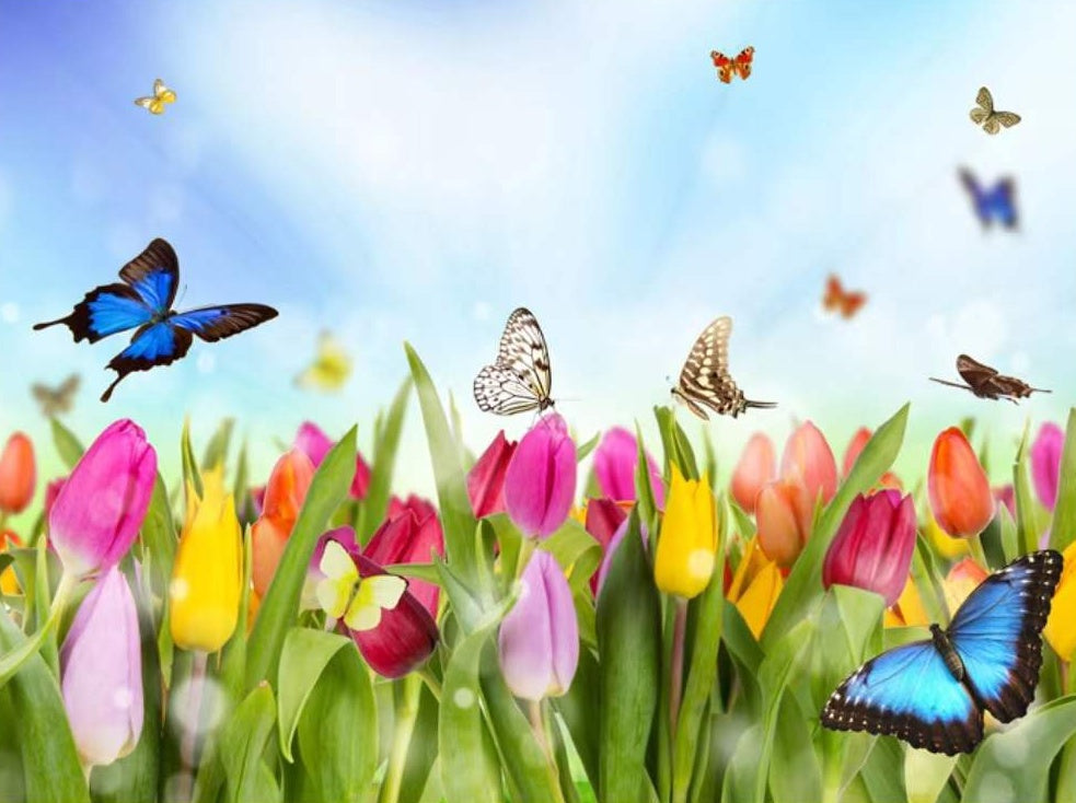 Vlinders en Tulpen Schilderen op Nummers