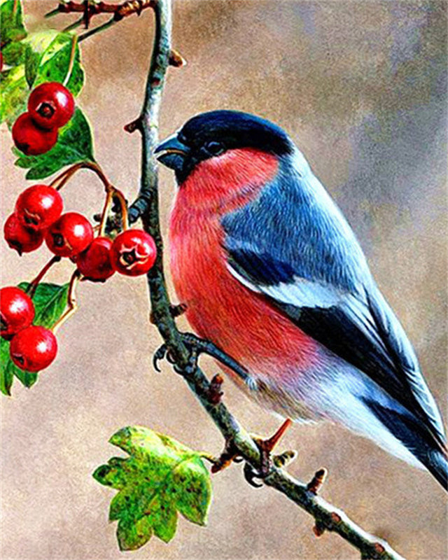 Vogel en Beere Schilderen op Nummers