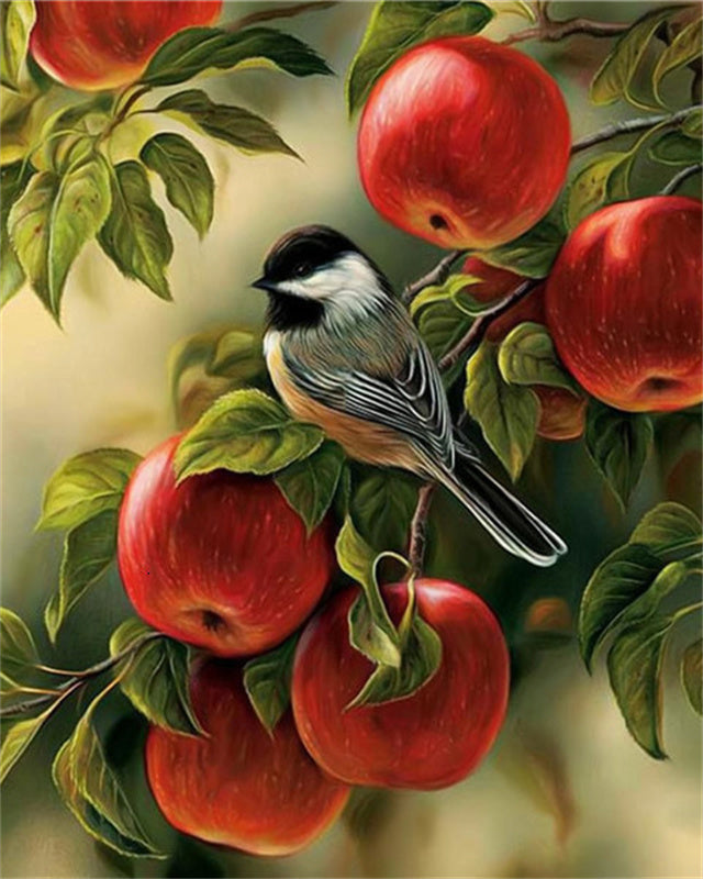 Vogel in een Appelboom Schilderen op Nummers
