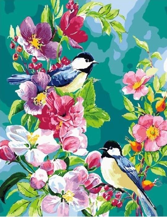Vogels en Bloemen Schilderen op Nummers