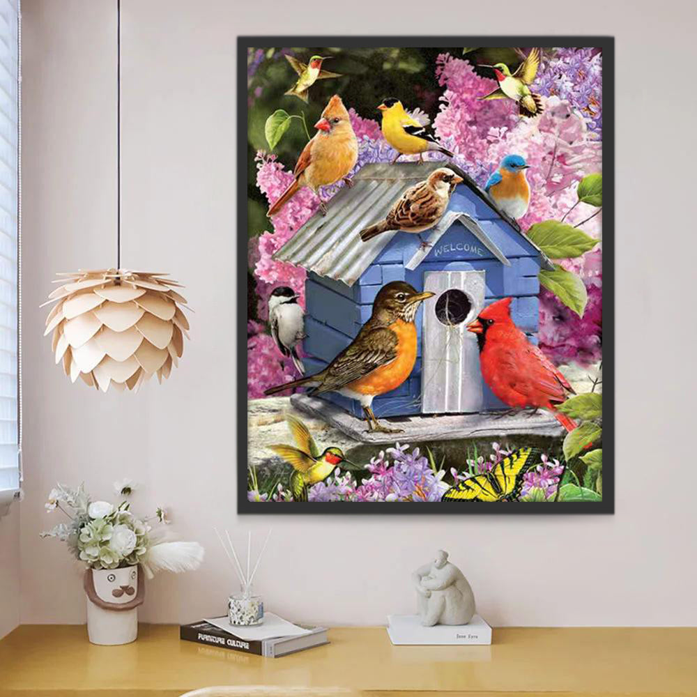 Vogels en Vogelhuisje Schilderen op Nummers