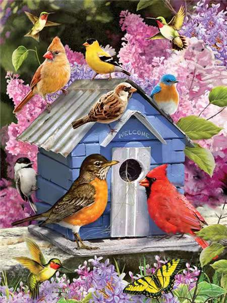 Vogels en Vogelhuisje Schilderen op Nummers