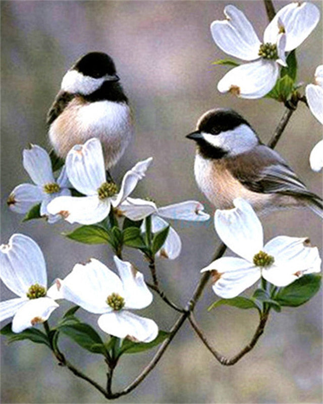 Vogels en Witte Bloemen Schilderen op Nummers