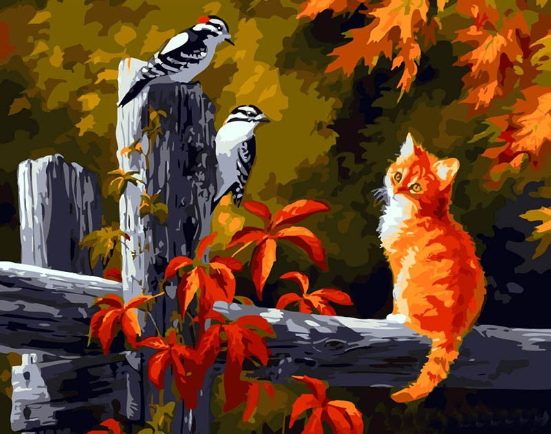 Vogels Esdoornblad Kat Schilderen op Nummers