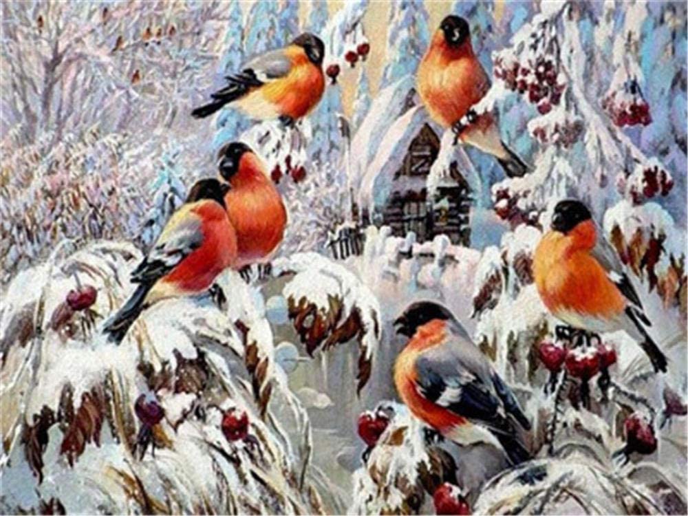 Vogels in een Besneeuwde Boom Schilderen op Nummers