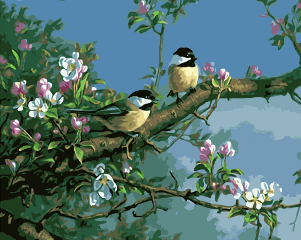Vogels op een Tak Schilderen op Nummers