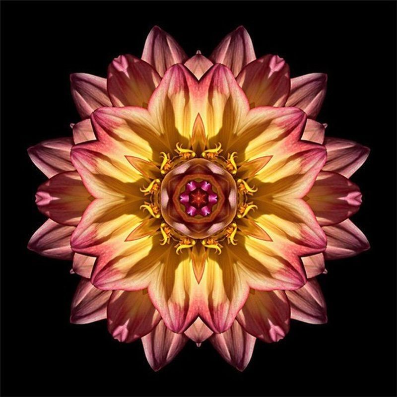Warm Gekleurd Bloem Mandala Kunstwerk Schilderen op Nummers