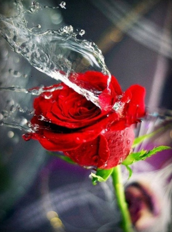 Water en Roze Schilderen op Nummers