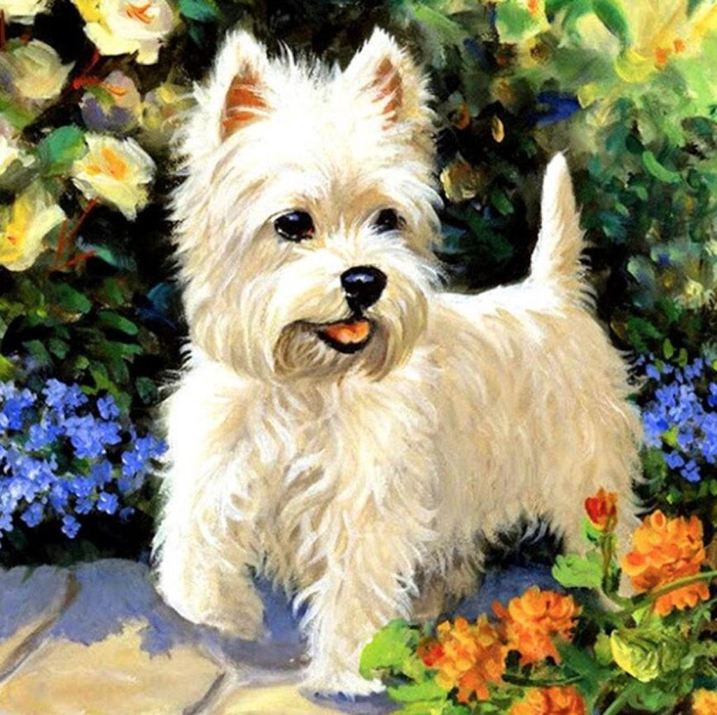 West Highland Terrier in Bloem Schilderen op Nummers