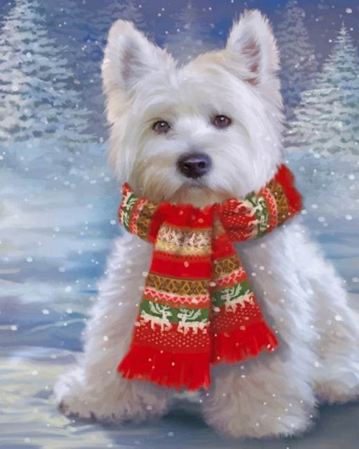 West Highland Terrier met Rode Sjaal in Sneeuw Schilderen op Nummers