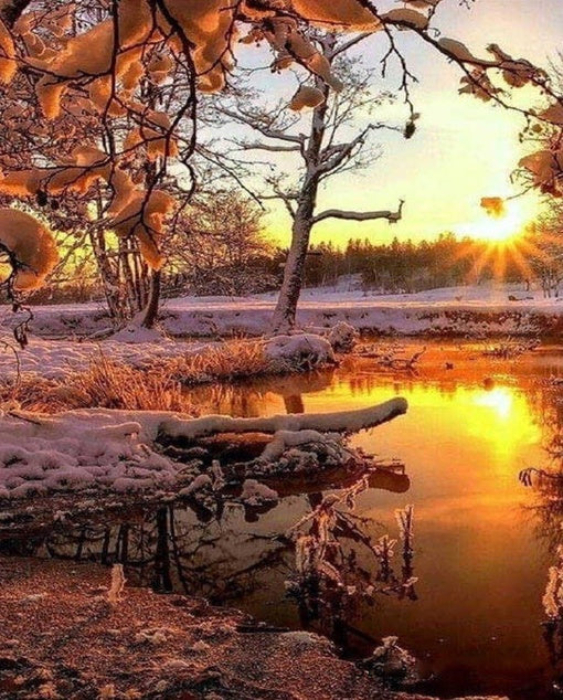 Winterbos bij Zonsondergang Schilderen op Nummers