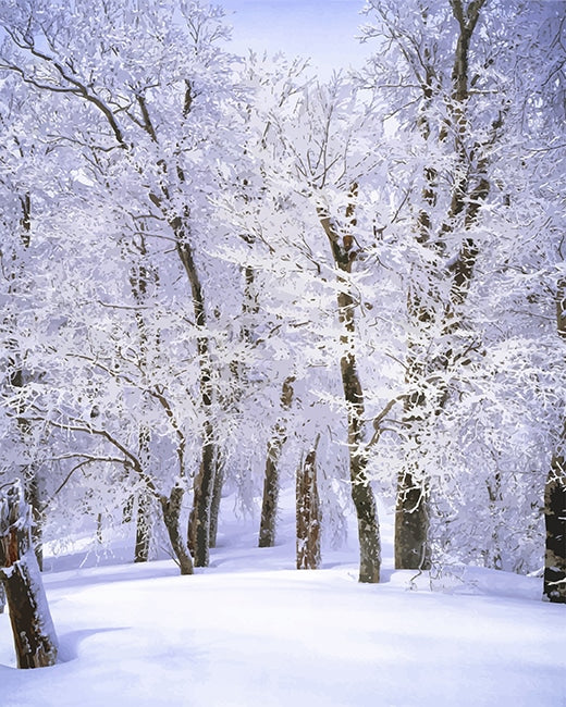 Winterse Bosstilte Schilderen op Nummers