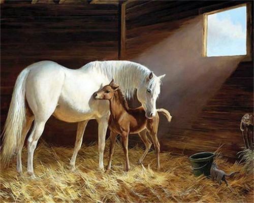 Wit Paard en Klein Bruin Paard Schilderen op Nummers